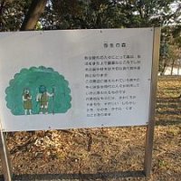 弥生の森